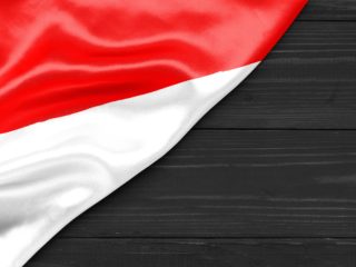 印度尼西亚调查网站